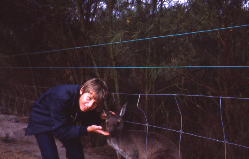 22 Peter and Kangaroo