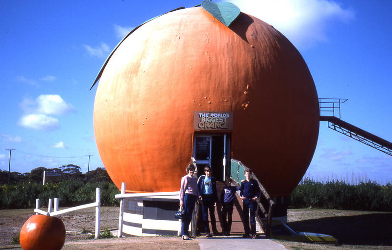 The Big Orange at Berri