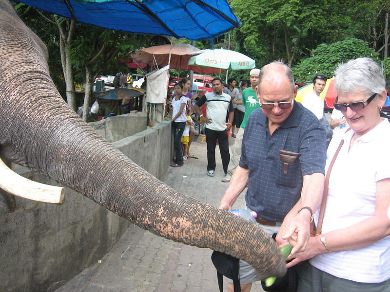 Feeding the Elephant on Doi Suthep