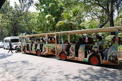 The local transport around the zoo