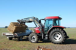 30 Loading hay onto the ute