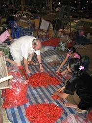 Graham sorting chilli's at Talad Thai