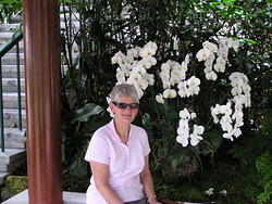 Orchids at Royal Palace