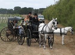 02 The Bride and Bridesmaids arrived by horse and cart