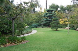 Himeji Japanese Gardens in South Parklands