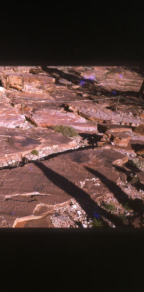Aboriginal Paint at Mootwingee 2
