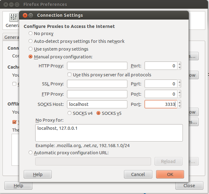 Firefox proxy settings to tunnel to virtual guest