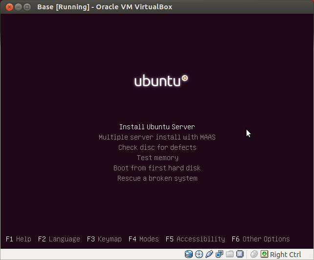 Now select Install Ubuntu Server