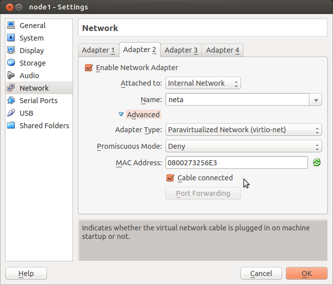 Network Adapter Settings of Cloned VM