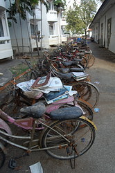 16 Bikes left outside my building